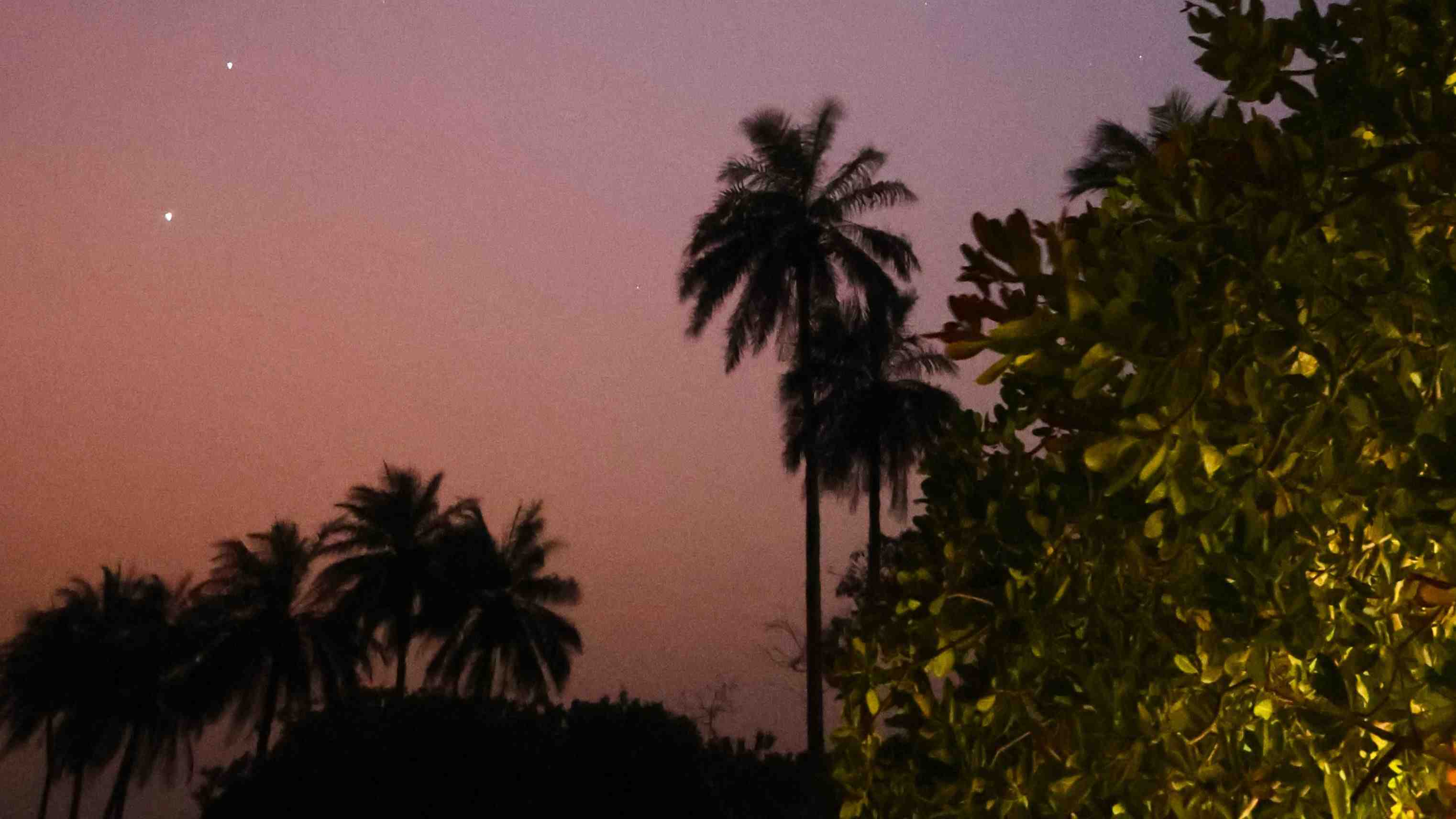 0V9A0110.JPG