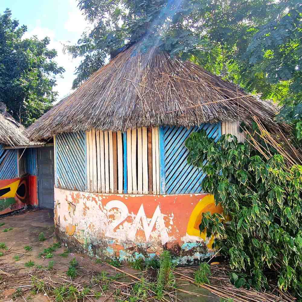 Gravações de campo em Moçambique (agosto de 2022).jpg